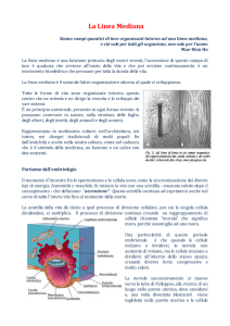 Scarica qui l`articolo in formato pdf