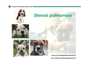 Clicca qui per saperne di più - Clinica Veterinaria Gran Sasso