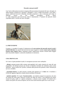 Come prevenire i parassiti - Ambulatorio Veterinario "Giano"