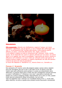 L` Arancia - Olismo Naturopatia