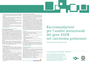 Raccomandazioni per l`analisi mutazionale del gene EGFR nel