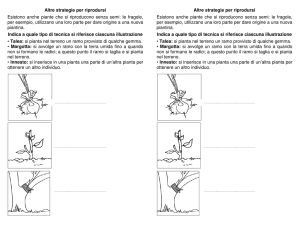 Altre strategie per riprodursi