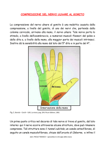 LA COMPRESSIONE DEL NERVO ULNARE AL GOMITO
