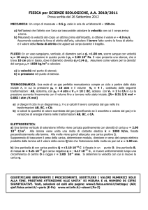Testo e soluzione