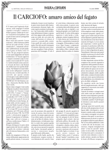 Il CARCIOFO: amaro amico del fegato