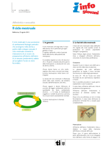 Il ciclo mestruale