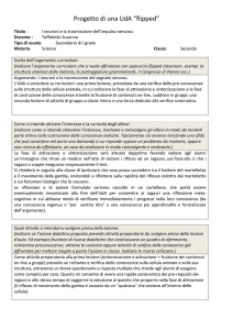 proposta di laboratorio : i saggi alla fiamma