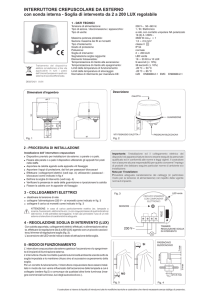 ISTRUZIONI 1IC7242