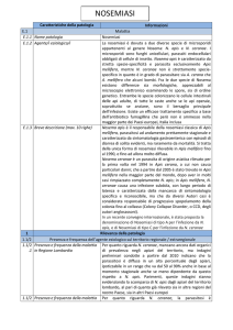 Nosema - Sistema Informativo Servizio Veterinario
