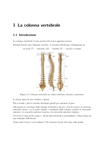 - Emiliano Bruni WebSite