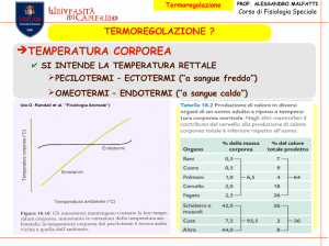 Termoregolazione
