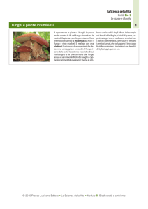 Funghi e piante in simbiosi - Zanichelli online per la scuola
