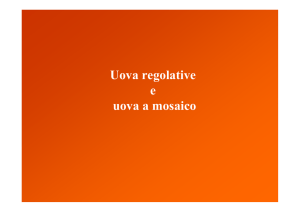 Uova regolative e uova a mosaico