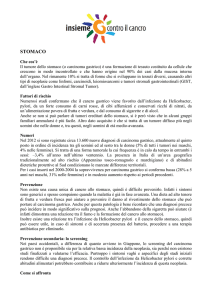 stomaco - Insieme contro il cancro