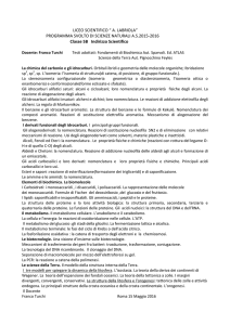 5B_ Scienze Naturali _Turchi