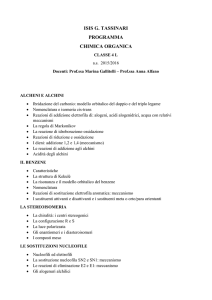 ISIS G. TASSINARI PROGRAMMA CHIMICA ORGANICA