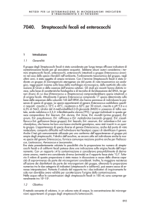 689 Belli-Parte 6