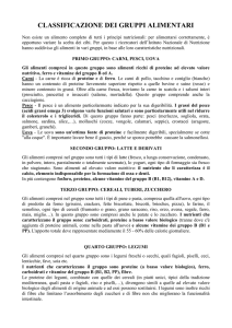 classificazione dei gruppi alimentari