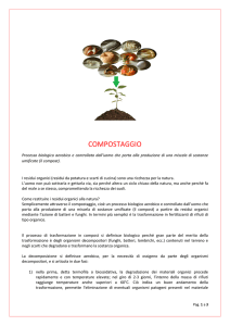 Continua - RicreaTe