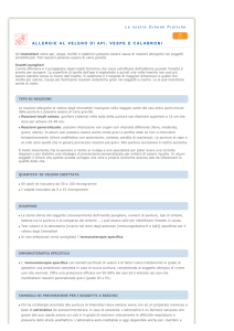 La scheda in PDF