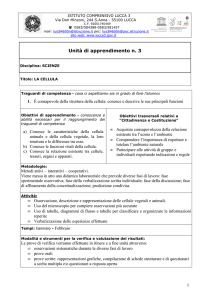 U.A n°3 La cellula - Istituto Comprensivo Statale Lucca3