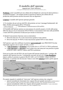 Operone - Un sito per la didattica