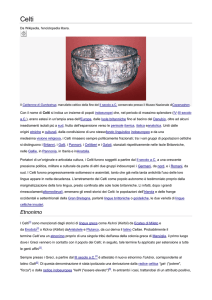 Approfondimento sui Celti