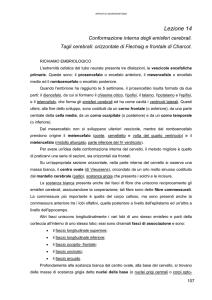 Lezione 1 - Medicina e Chirurgia