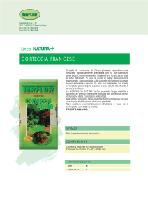 CORTECCIA FRANCESE - Emporio verde