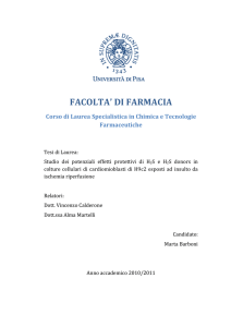 enzima idrogeno