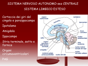 SISTEMA NERVOSO AUTONOMO-sez CENTRALE SISTEMA