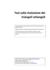 Test Risoluzione Triangoli Rettangoli: Esercizi e Soluzioni