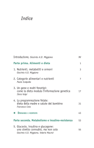 Indice e introduzione