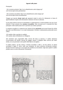Appunti sulle piante
