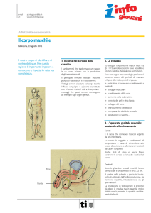 Il corpo maschile