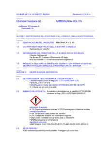 Chimica Ossolana srl AMMONIACA SOL 5%