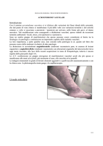Capitolo 9 (Pagg. 111-131)