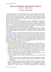 malattie dell`apparato visivo
