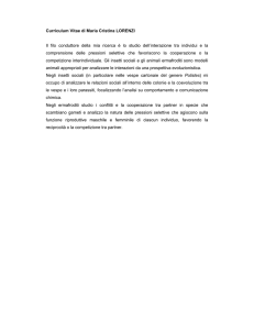 Curriculum Vitae di Maria Cristina LORENZI Il filo conduttore