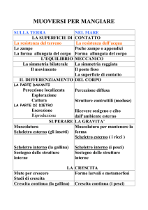 Viventi 4 - Istituto Comprensivo Spinea 1