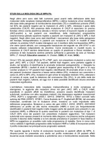Studi sulla biologia delle MPN Ph