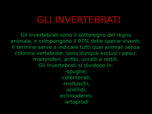 GLI INVERTEBRATI