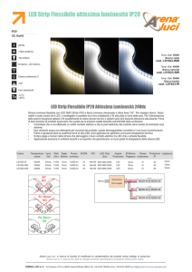 LED Strip Flessibile altissima luminosità IP20
