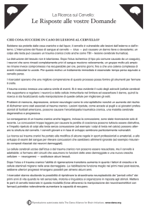 Le Risposte alle vostre Domande
