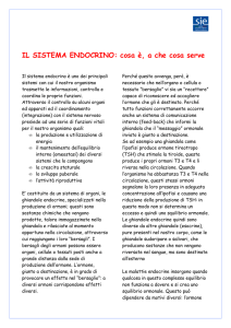 SISTEMA ENDOCRINO - definizione e funzione