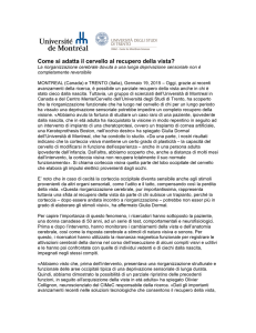 Come si adatta il cervello al recupero della vista?