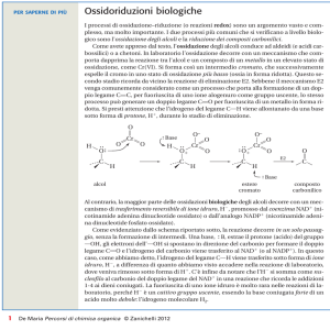 Ossidoriduzioni biologiche