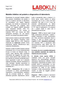 Malattie infettive nel puledro e diagnostica di laboratorio