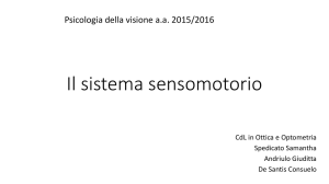 Il sistema sensomotorio - unisalento – scienze della formazione