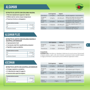 ALGAMAN